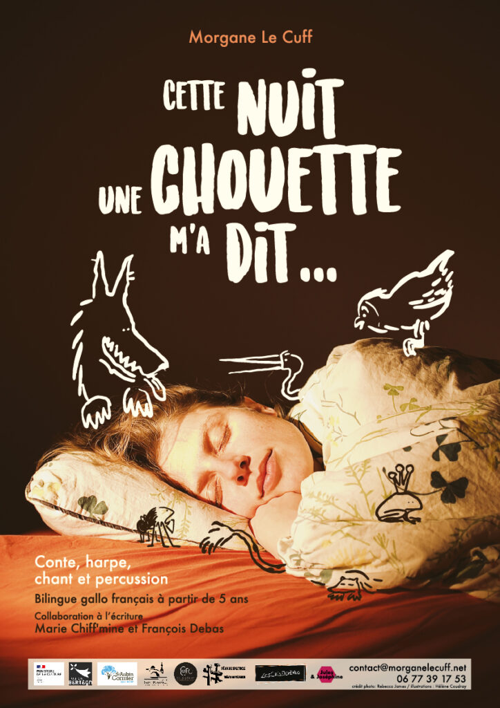 Affiche - spectacle Cette nuit une chouette m'a dit... 