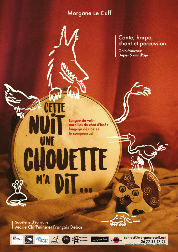 Affiche - spectacle Cette nuit une chouette m'a dit.. 